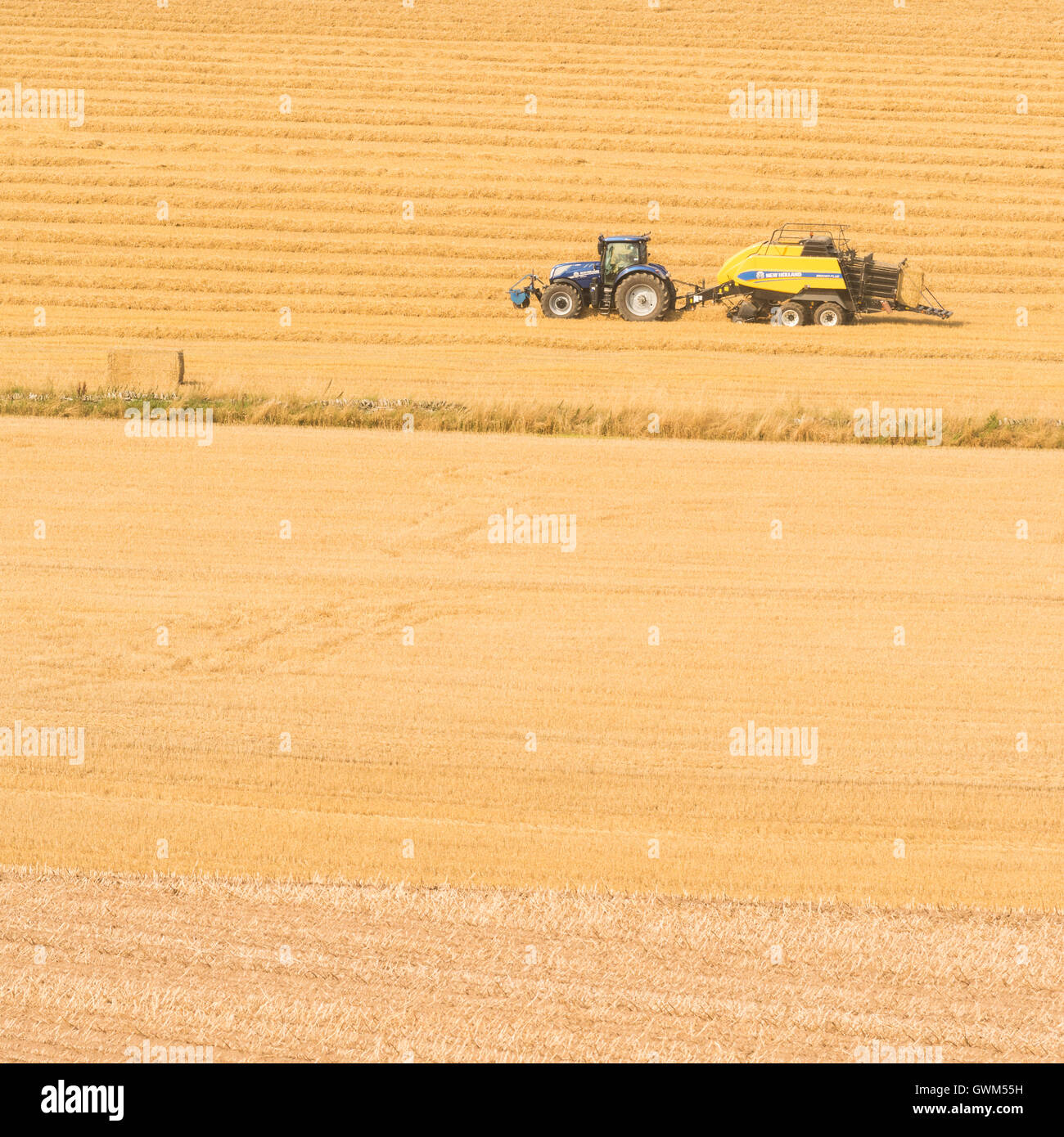 Agricoltura moderna in Scozia - il trattore e la rotopressa rendendo rettangolare balle di paglia Foto Stock