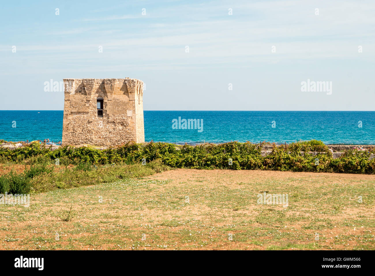 Torre saracena, vecchio antico mare spiaggia campo sky italia puglia sud Foto Stock