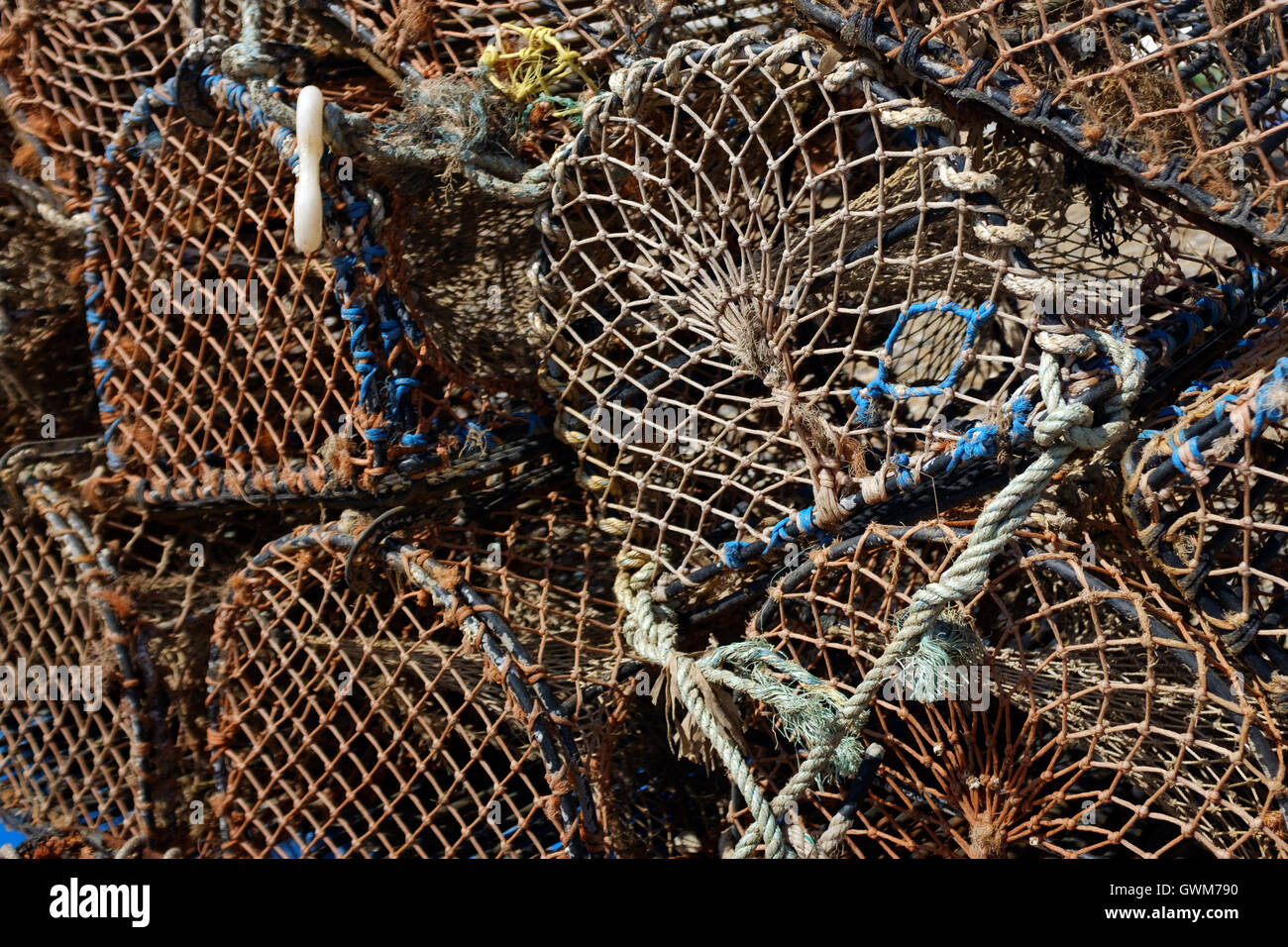 Granchio di mare le reti da pesca e gabbie Foto Stock