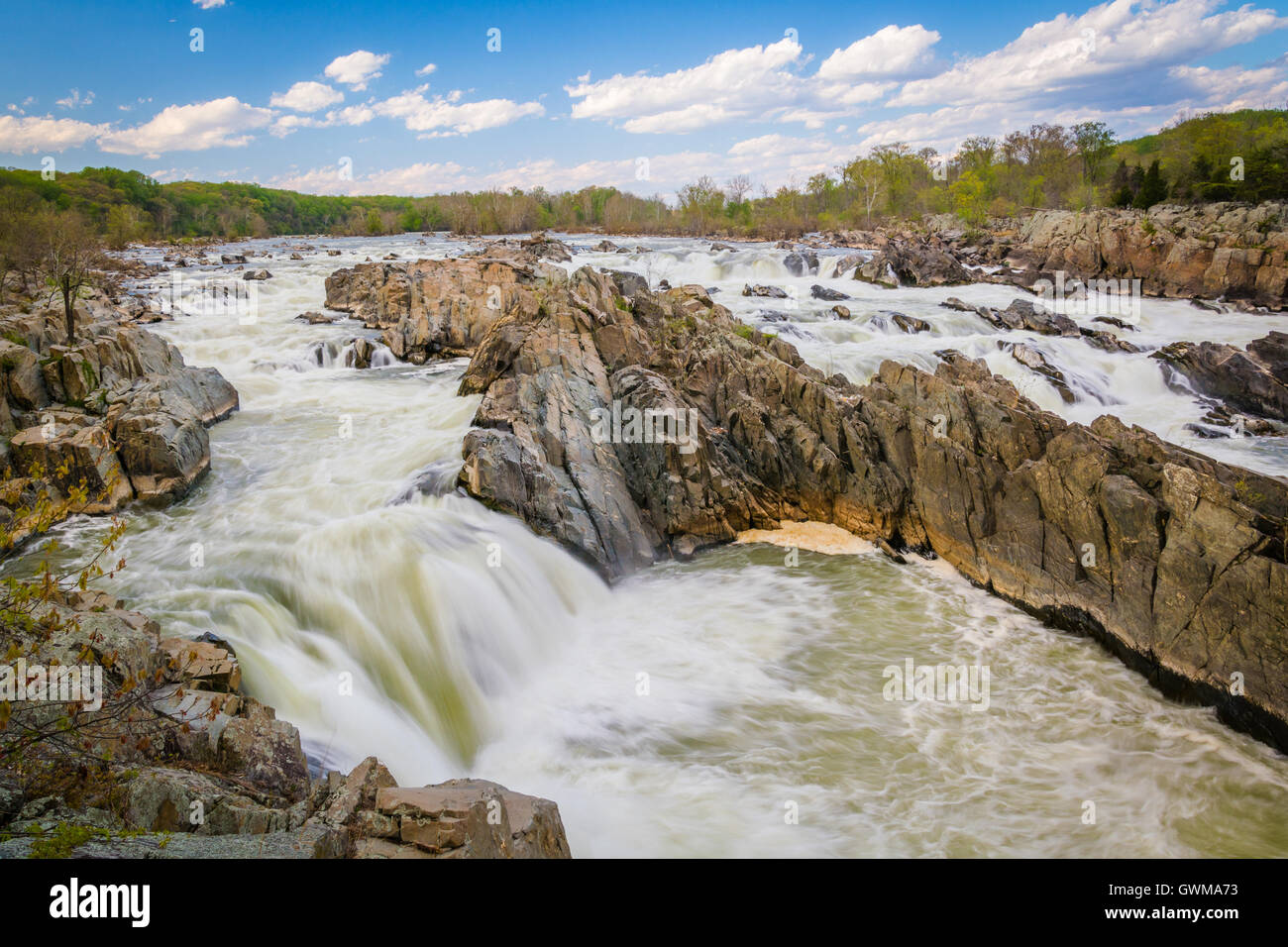 Rapids nel fiume Potomac a Great Falls Park, Virginia. Foto Stock