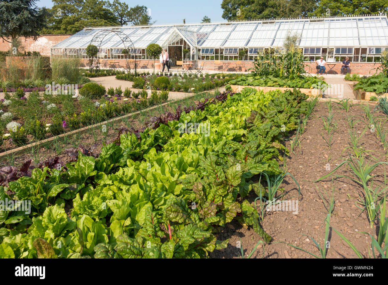 Giardino commestibile e serra vittoriana a mura di cinta del giardino delle rose Wynyard Hall Tees Valley England Regno Unito Foto Stock