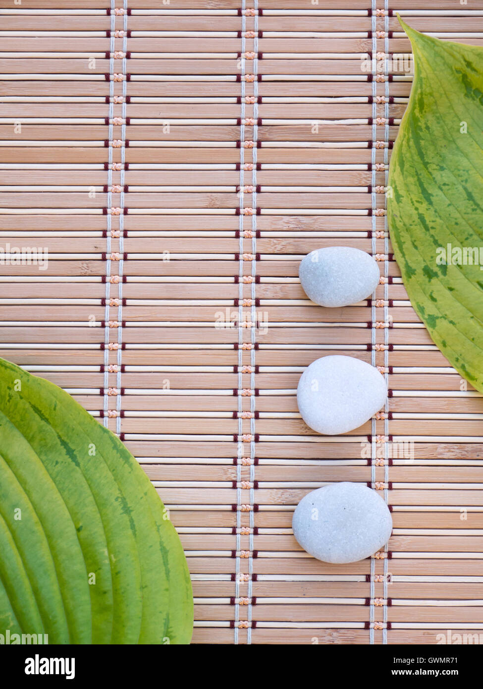 Due verdi hosta foglie con nervature in corrispondenza di vertici opposti del tappetino di bambù e tre bianchi pietre rotonde Foto Stock