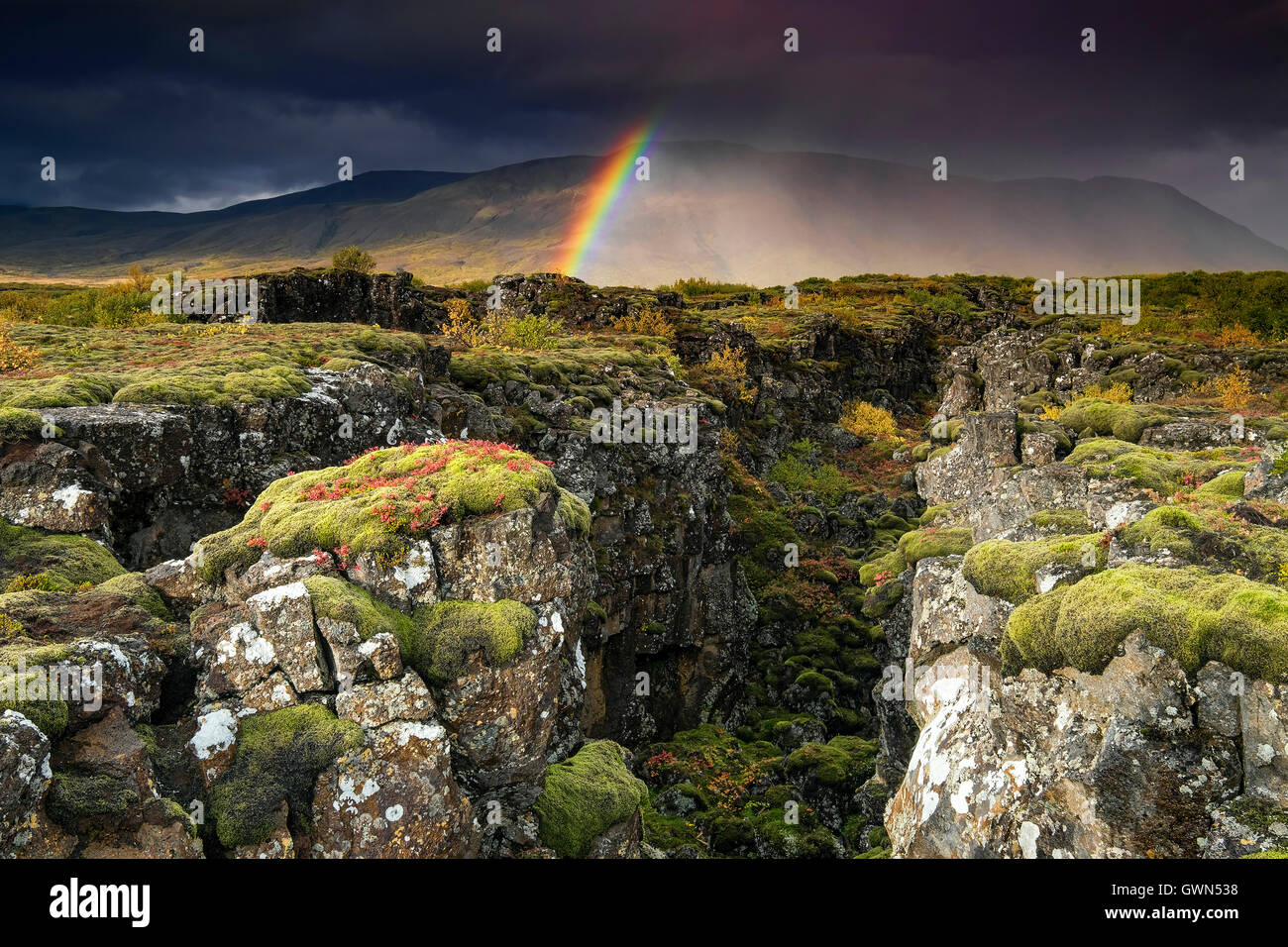 Rainbow e Rainstorm sopra la fessura del piatto Tectonic sostenuta da montagna di Armmannsfell, Parco Nazionale di Thingvellir, Islanda sud-occidentale Foto Stock
