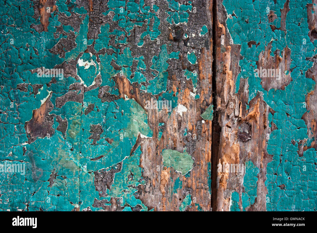 Dettaglio di un marcio, tempo fa dipinta porta di legno Foto Stock