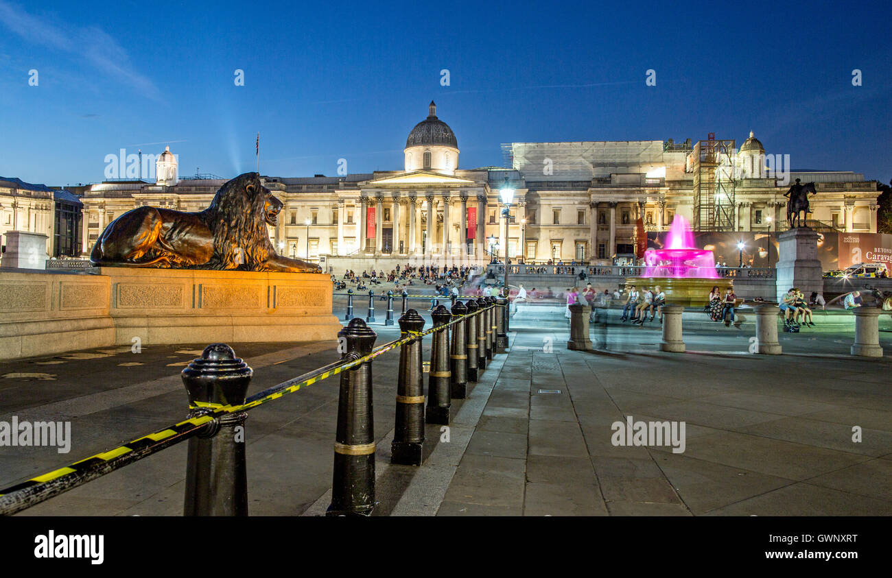 I Leoni di Trafalgar Square a notte London REGNO UNITO Foto Stock