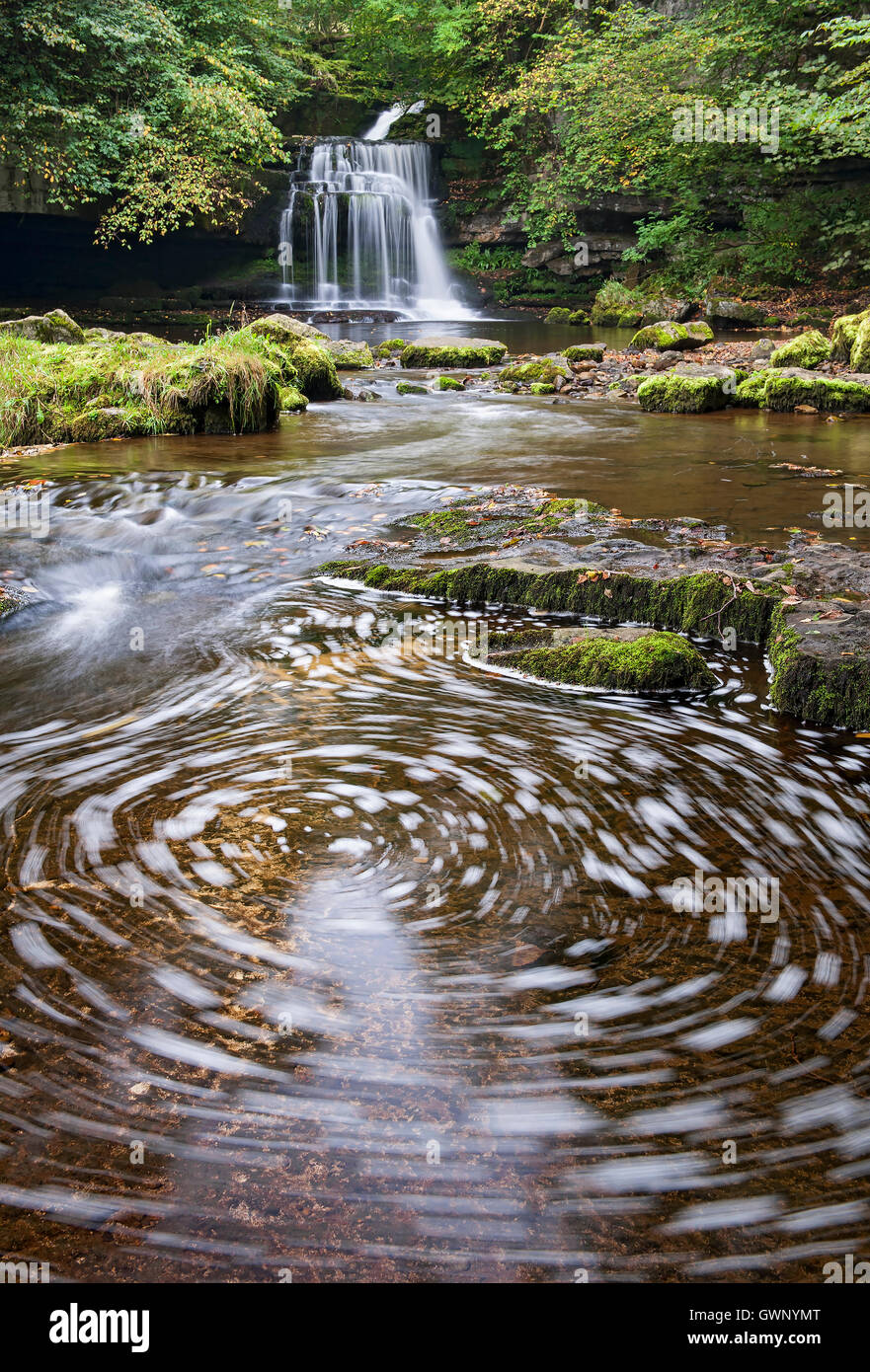 Di West Burton cade (o calderone scende), Wensleydale, Yorkshire Dales National Park, England, Regno Unito Foto Stock