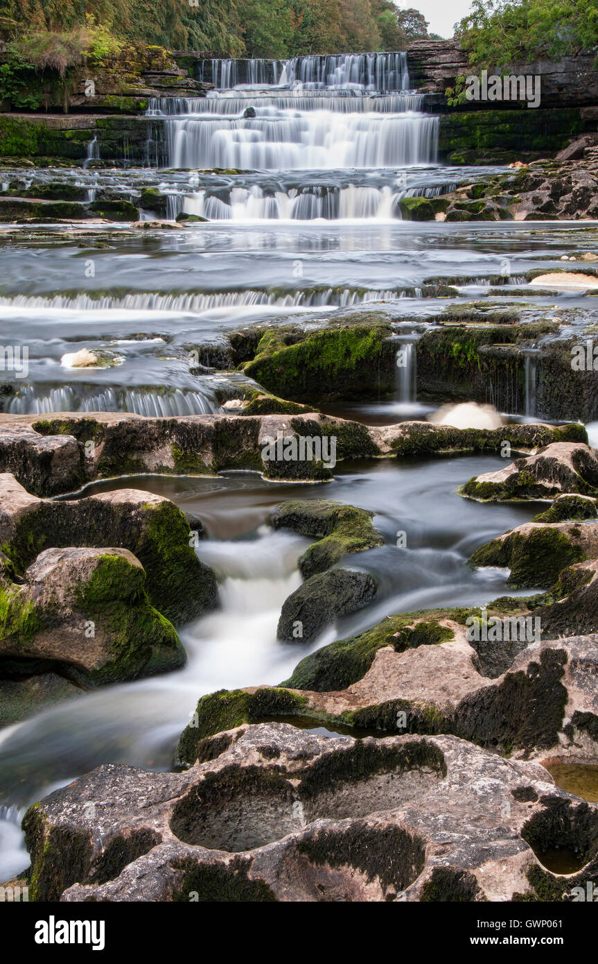 Aysgarth Falls & Fiume Ure, Wensleydale, Yorkshire Dales National Park, nello Yorkshire, Inghilterra, Regno Unito Foto Stock