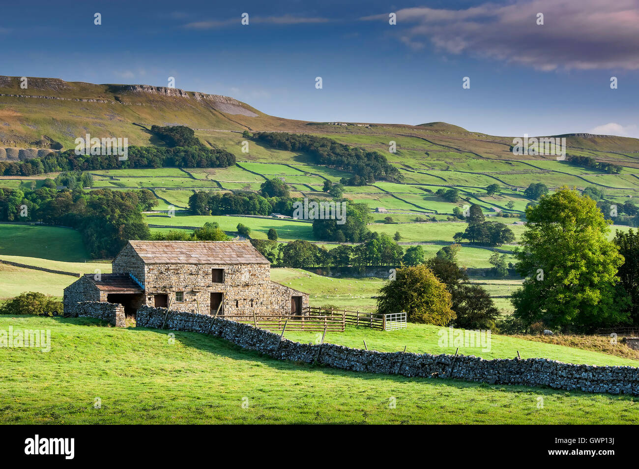 Granaio di Appersett sostenuta da Abbotside comune, vicino Hawes, Wensleydale, Yorkshire Dales National Park, nello Yorkshire, Inghilterra, Regno Unito Foto Stock