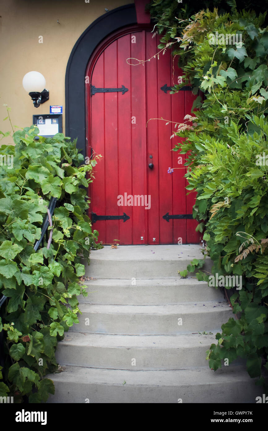 Porta rossa circondata da edera. Foto Stock