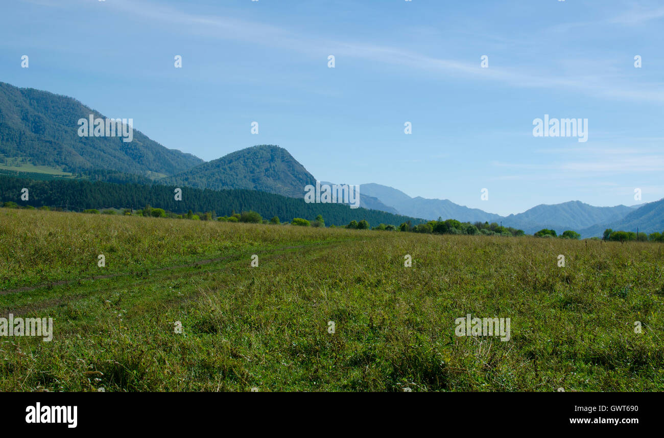 Paesaggio di montagna in autunno tra alberi, un paesaggio, una stagione, Altai, bella blu, caduta, montagne, piante Foto Stock