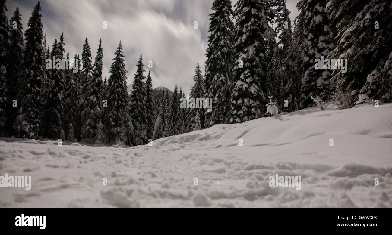 Manning Park di notte, British Columbia, Canada Foto Stock