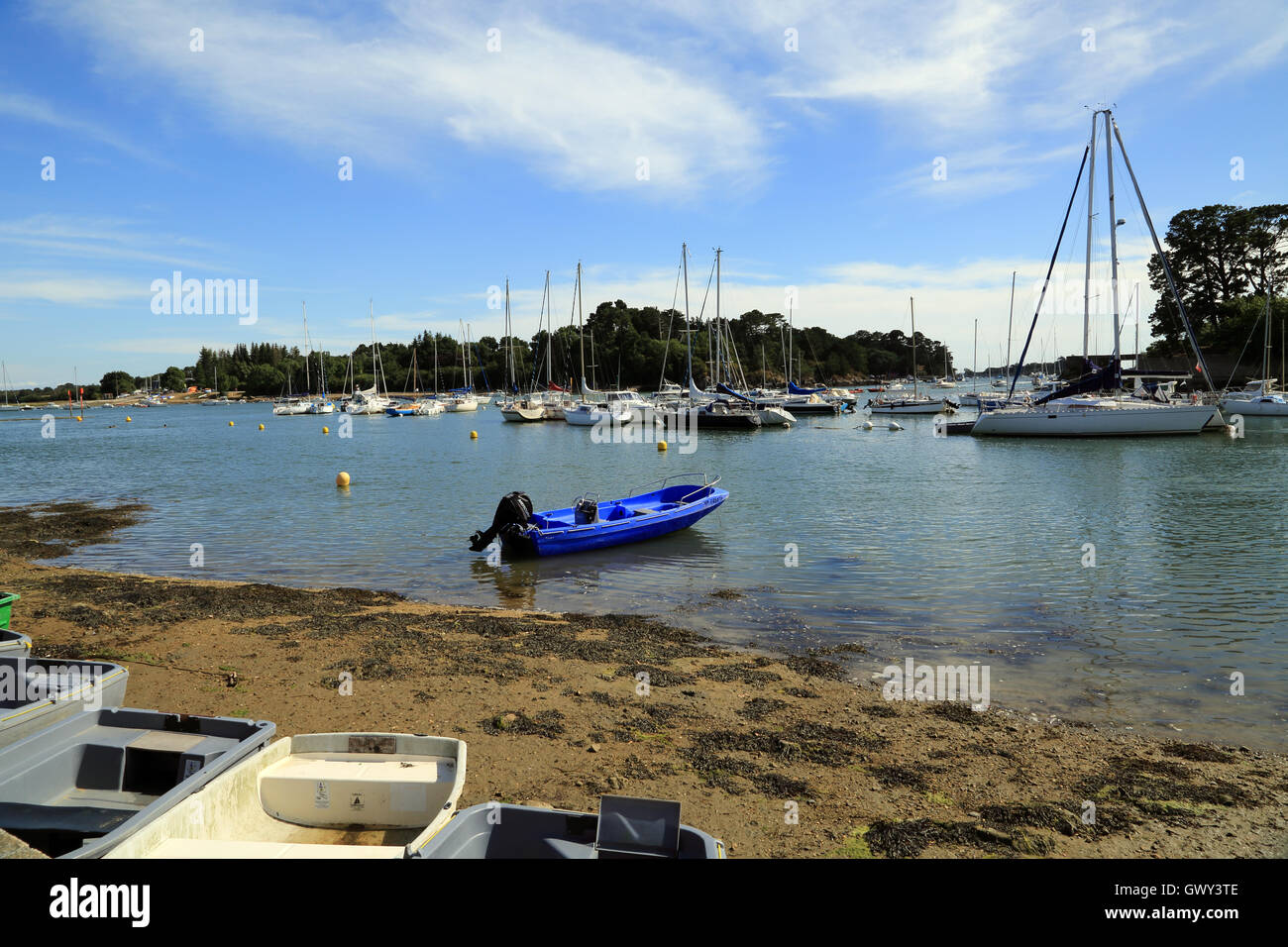 Vista su Porto Anna dalla Presqu'ile de conleau ad alta marea con barche ormeggiate, Vannes, Morbihan, in Bretagna, in Francia, in Europa Foto Stock