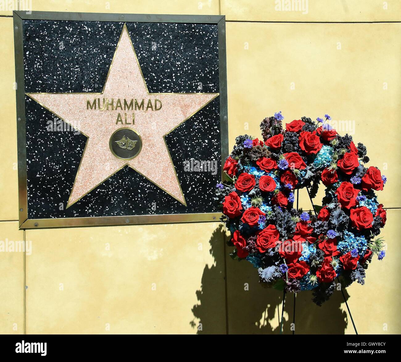 Un omaggio floreale è a sinistra accanto all'Hollywood Walk of Fame star per Muhammad Ali scomparso il venerdì notte (03giugno16) dotato di: atmosfera dove: Los Angeles, California, Stati Uniti quando: 04 Giu 2016 Foto Stock