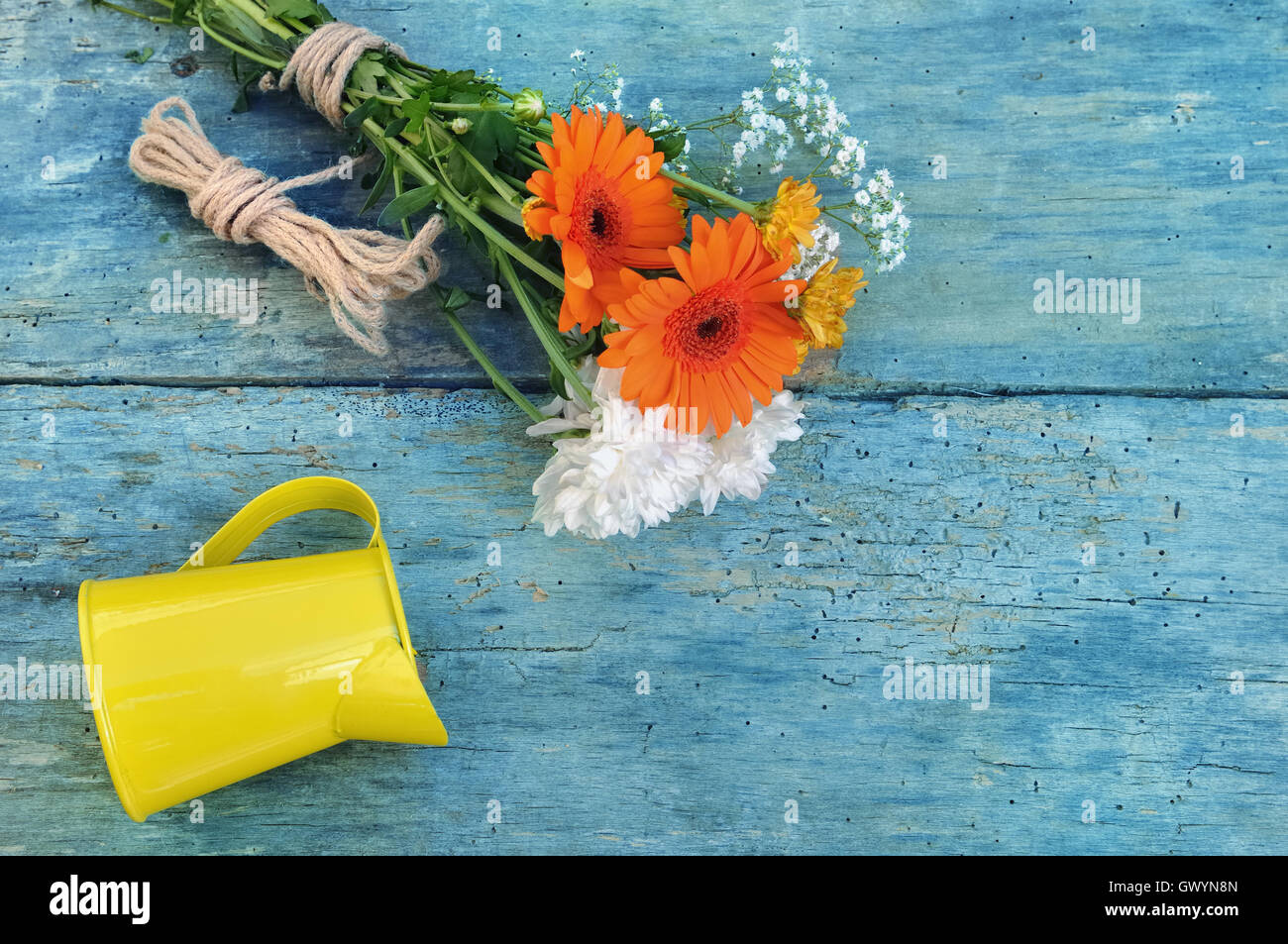 Graziosi fiori con il giallo può su un listone blu Foto Stock