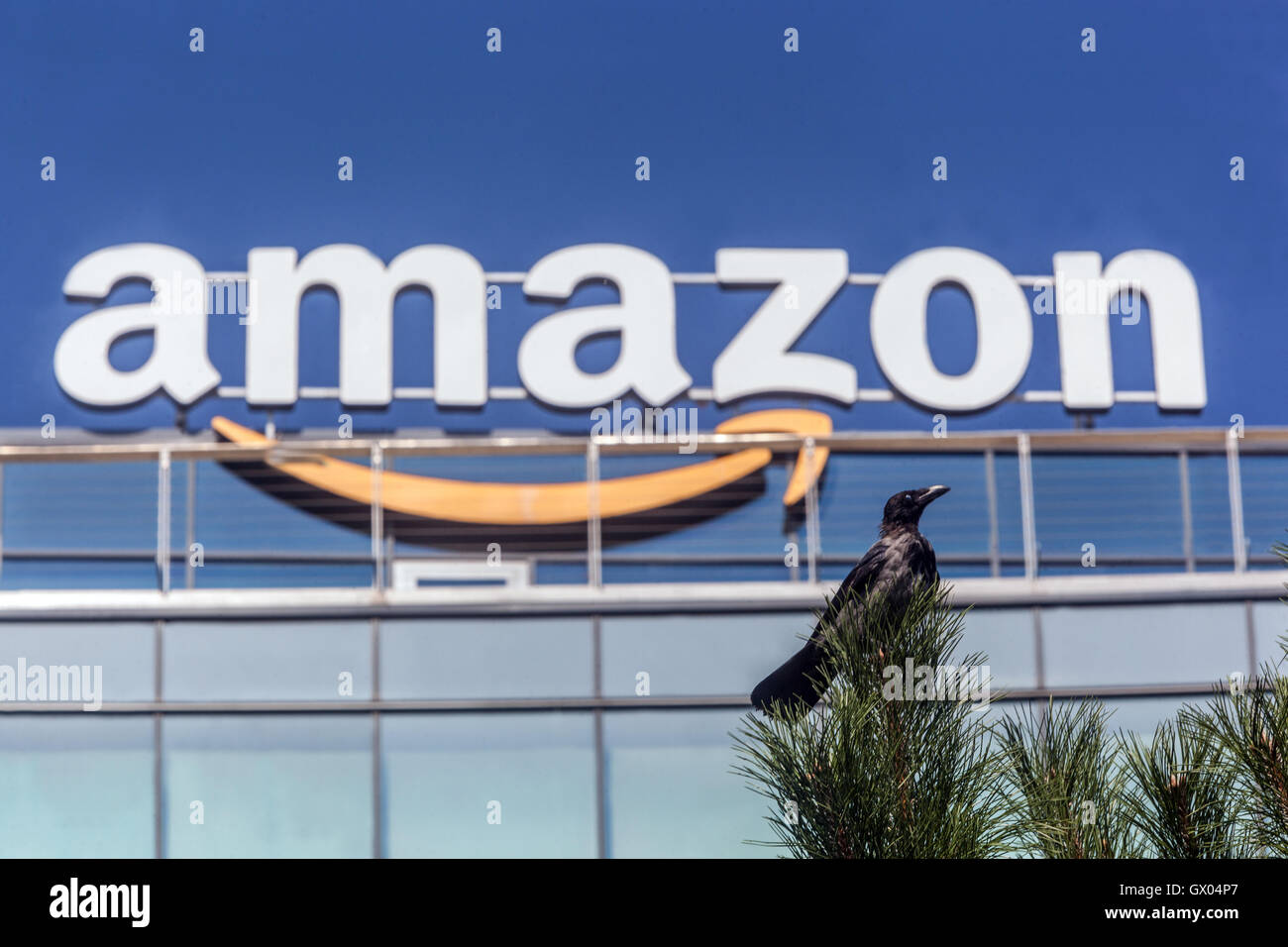 Il logo Amazon, segno su una parte superiore dell edificio, crow, Slovacchia, Europa Foto Stock