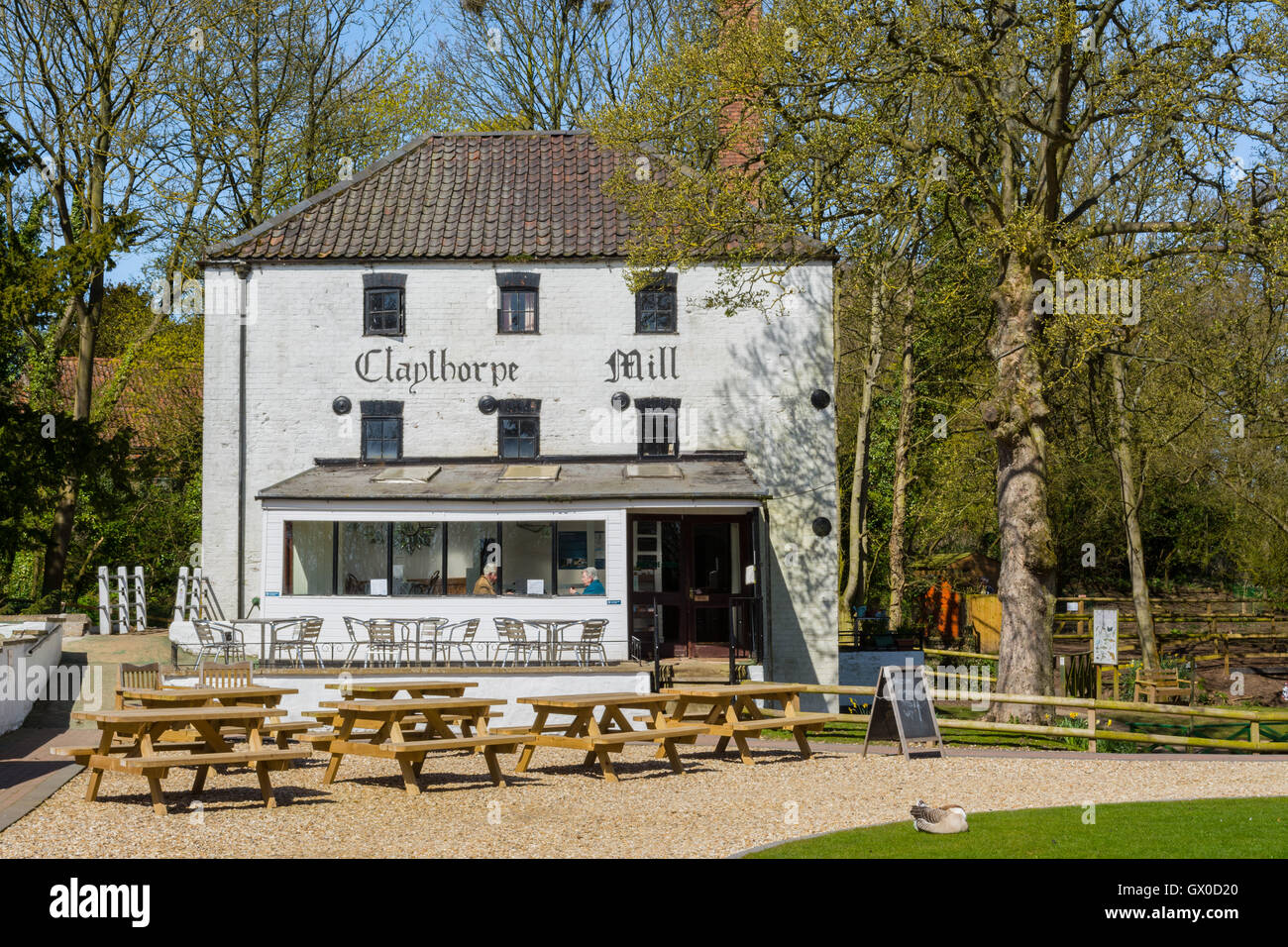 Claythorpe Mill Foto Stock