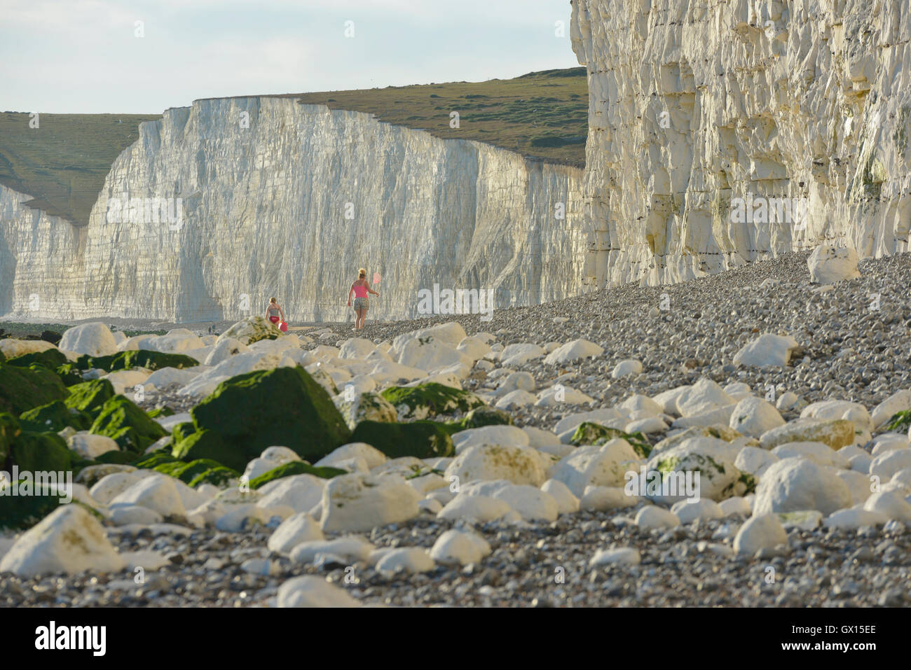 Birling gap beach e le sette sorelle chalk cliffs. east dean. east sussex. Inghilterra. Regno Unito Foto Stock