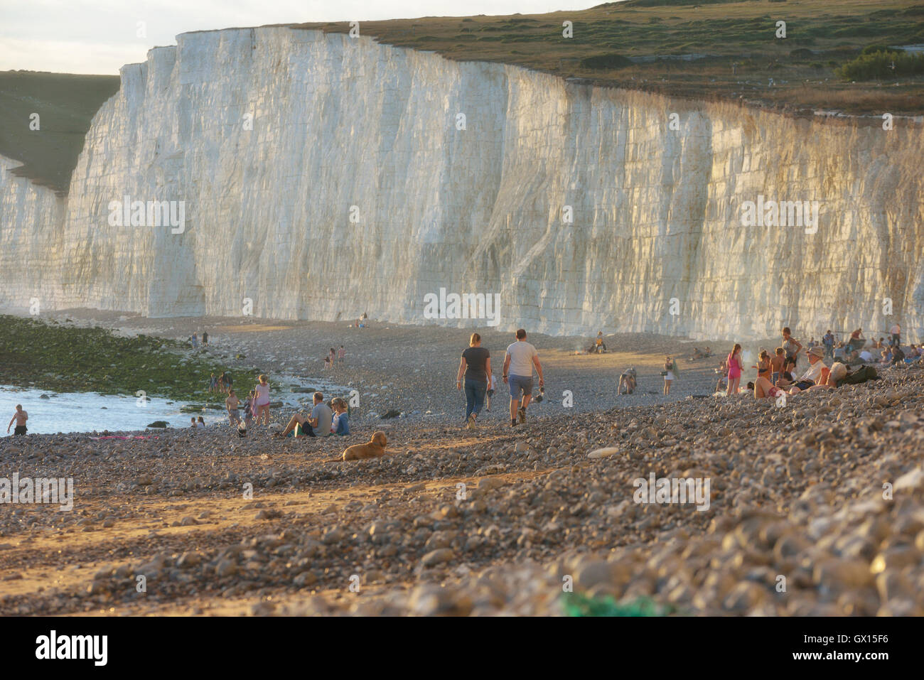 Birling gap beach e le sette sorelle chalk cliffs. east dean. east sussex. Inghilterra. Regno Unito Foto Stock