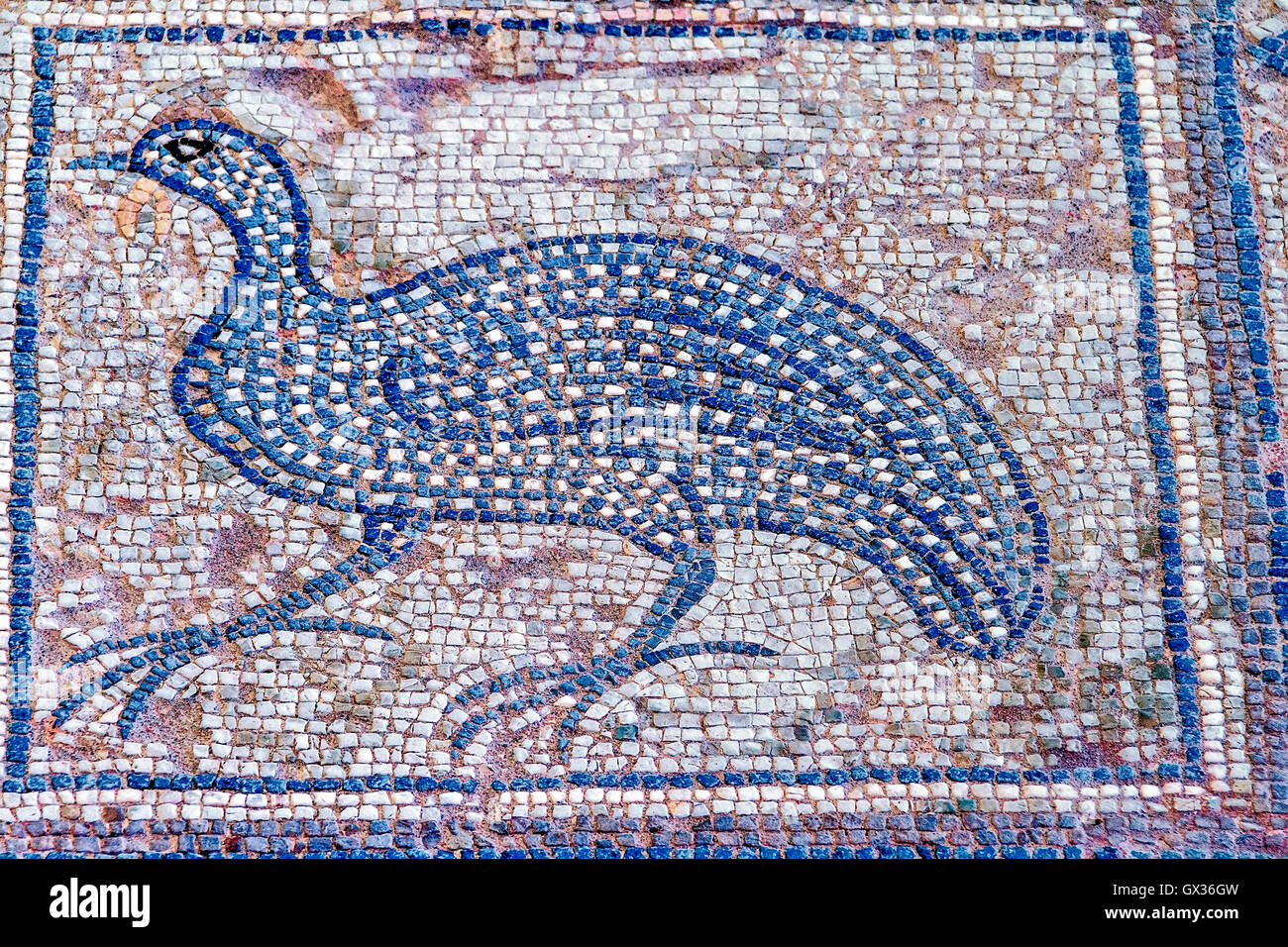 Mosaico di uccelli Kourion Cipro Foto Stock