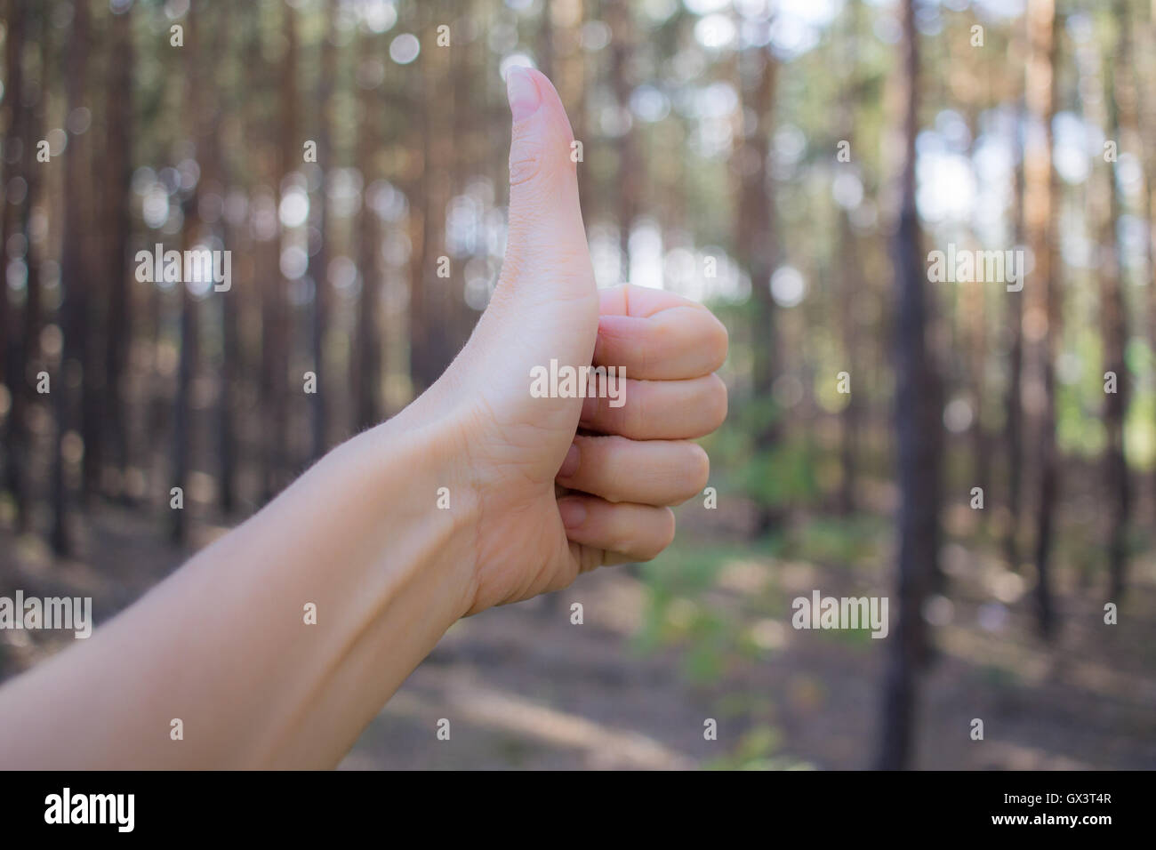 Segno OK dal gesto fatti a mano su contiferous sfondo della foresta Foto Stock