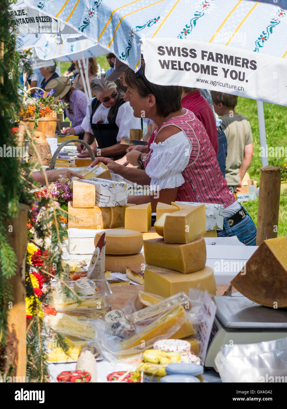 Diverse varietà di duro formaggio svizzero per la vendita su un mercato di agricoltori in Svizzera. Foto Stock