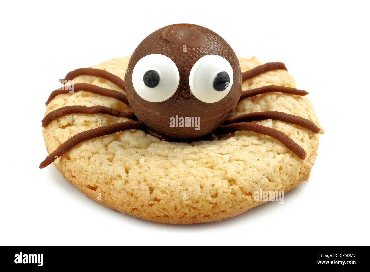 Unico ragno Halloween cookie isolato su bianco Foto Stock