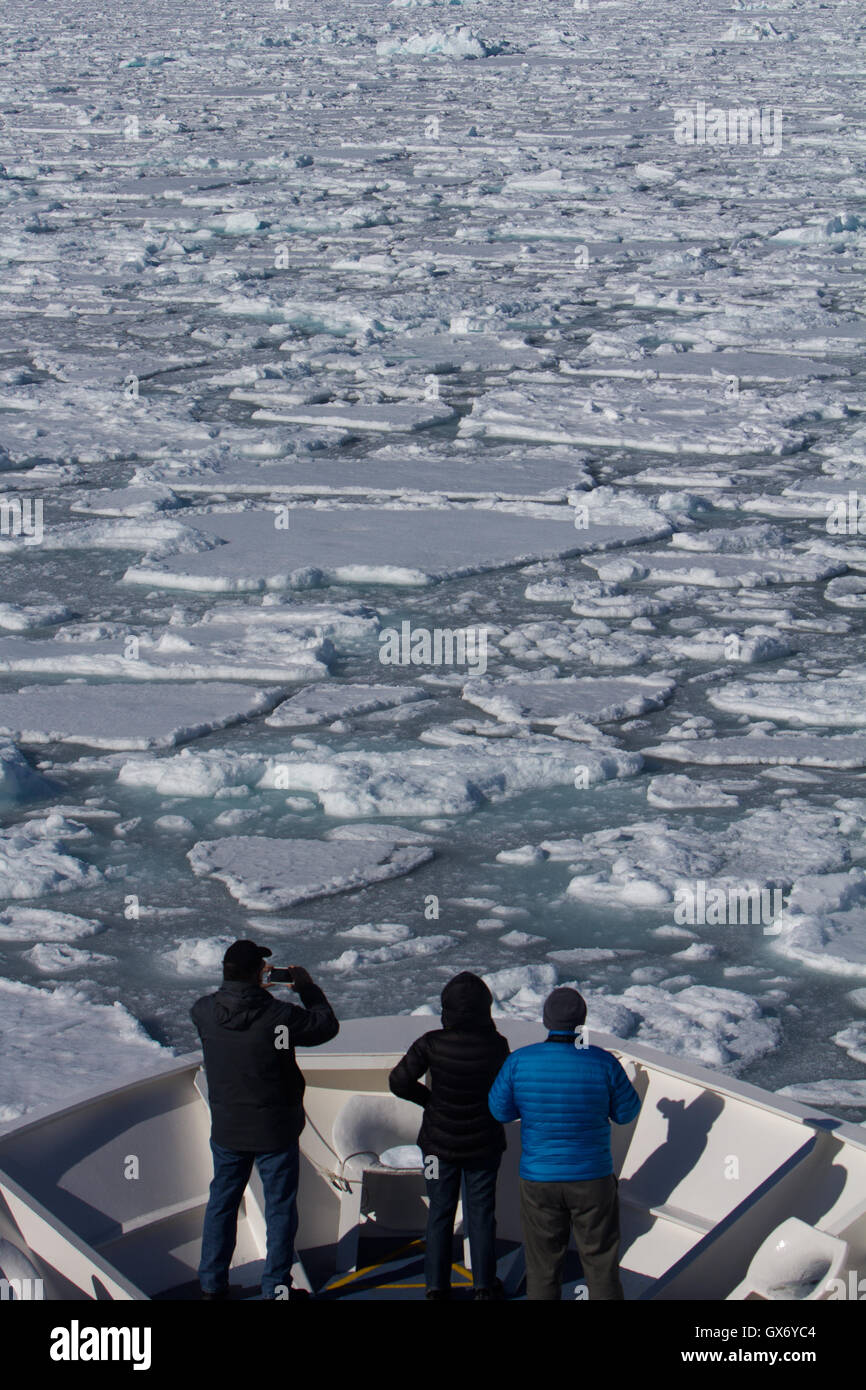 I turisti ammirando il mare di ghiaccio dalla prua del National Geographic Orion a nord delle Isole Svalbard, Norvegia Foto Stock