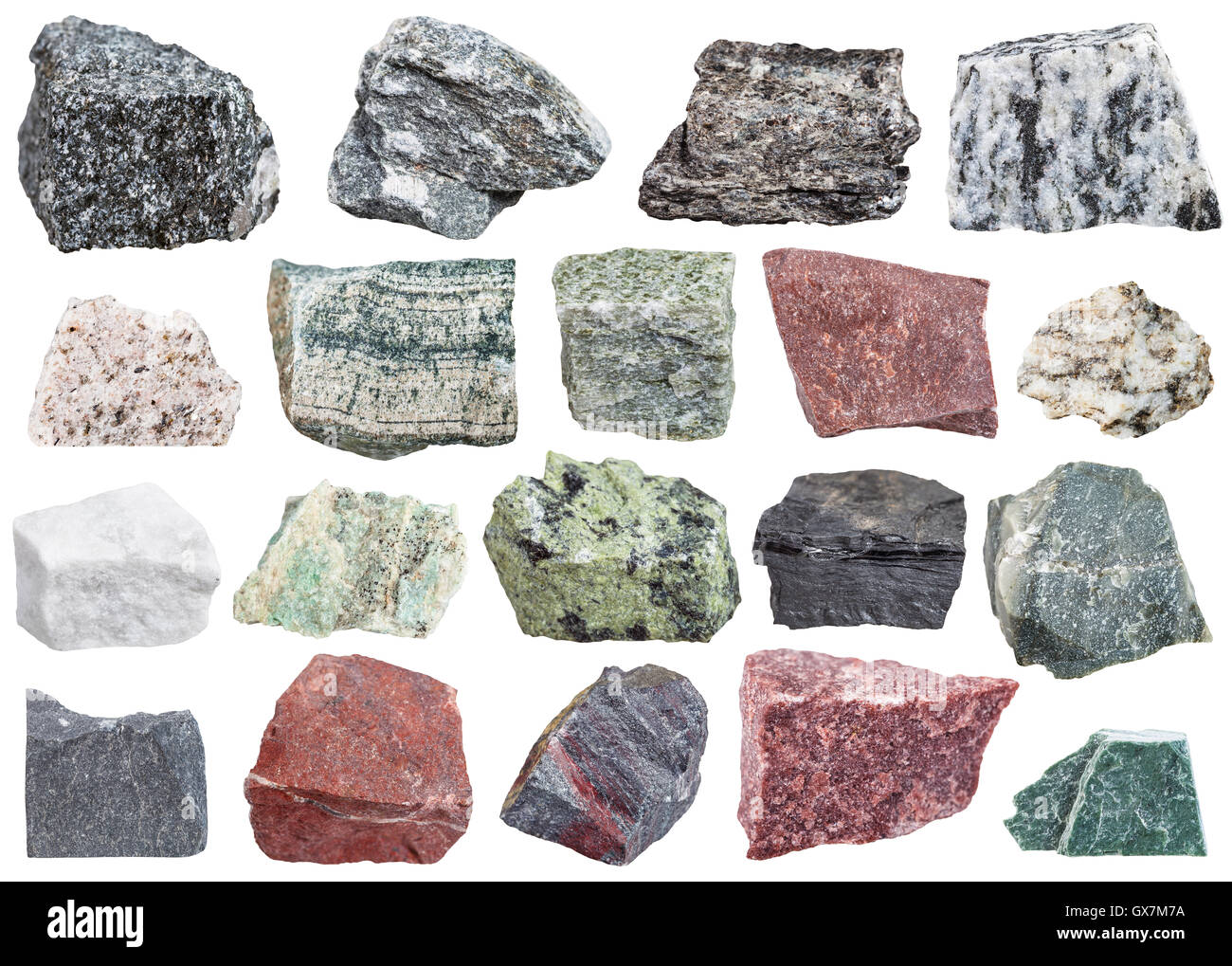 Collezione di rocce metamorfiche esemplari - amphibolite, migmatite, quarzite, skarn, quarzo, scisto, listvenite, Jasper, jaspill Foto Stock