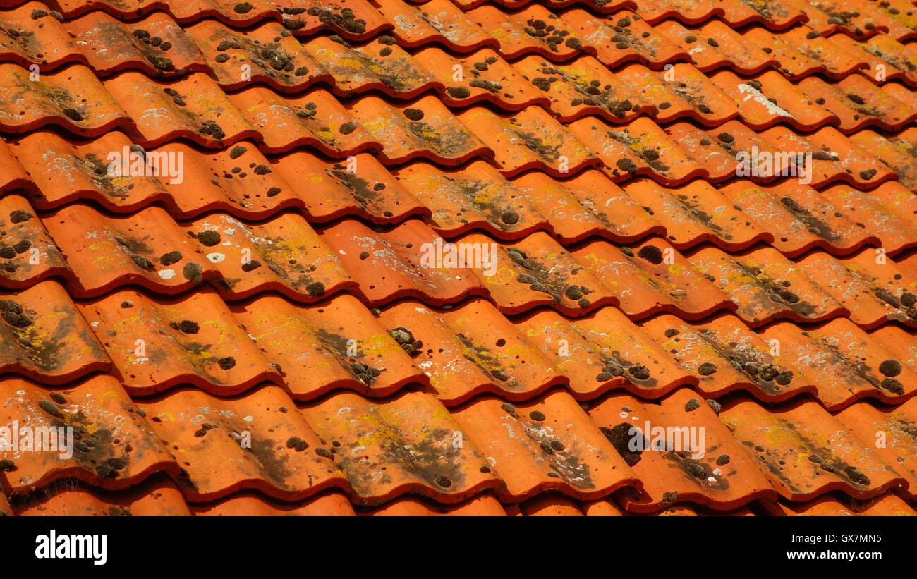 Orange tegole del tetto Foto Stock