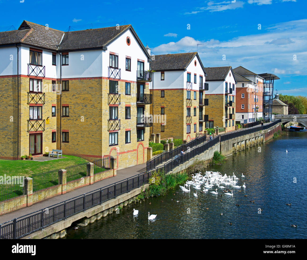 Il fiume Nene e Riverside Apartments, Peterborough, CAMBRIDGESHIRE, England Regno Unito Foto Stock