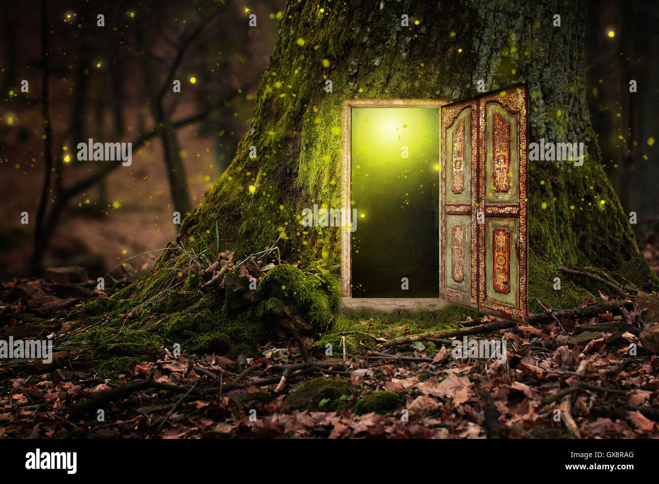 Casa albero interno Foto Stock