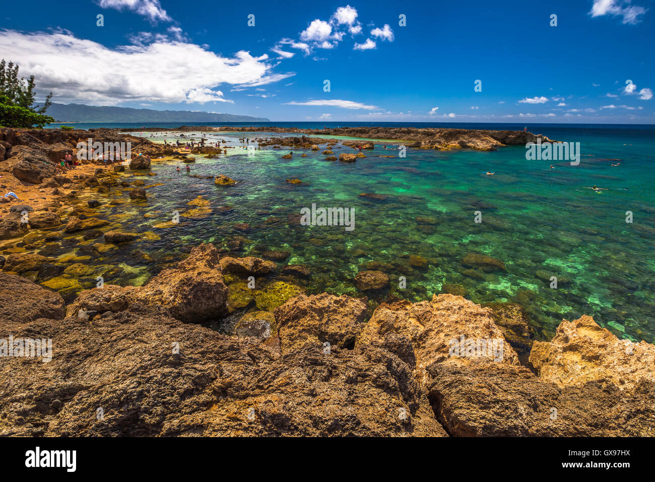 Gli squali Pupukea Cove Foto Stock