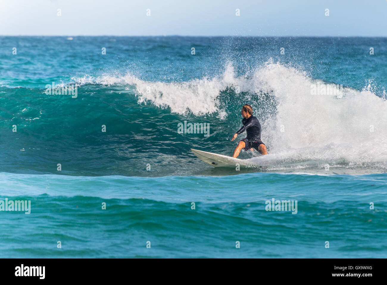 Un surfista australiano sull'onda, la spiaggia di Bondi nella periferia est di Sydney Foto Stock