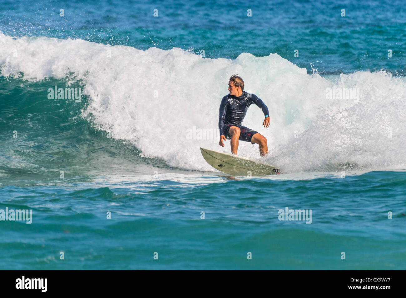 Un surfista australiano sull'onda, la spiaggia di Bondi nella periferia est di Sydney Foto Stock