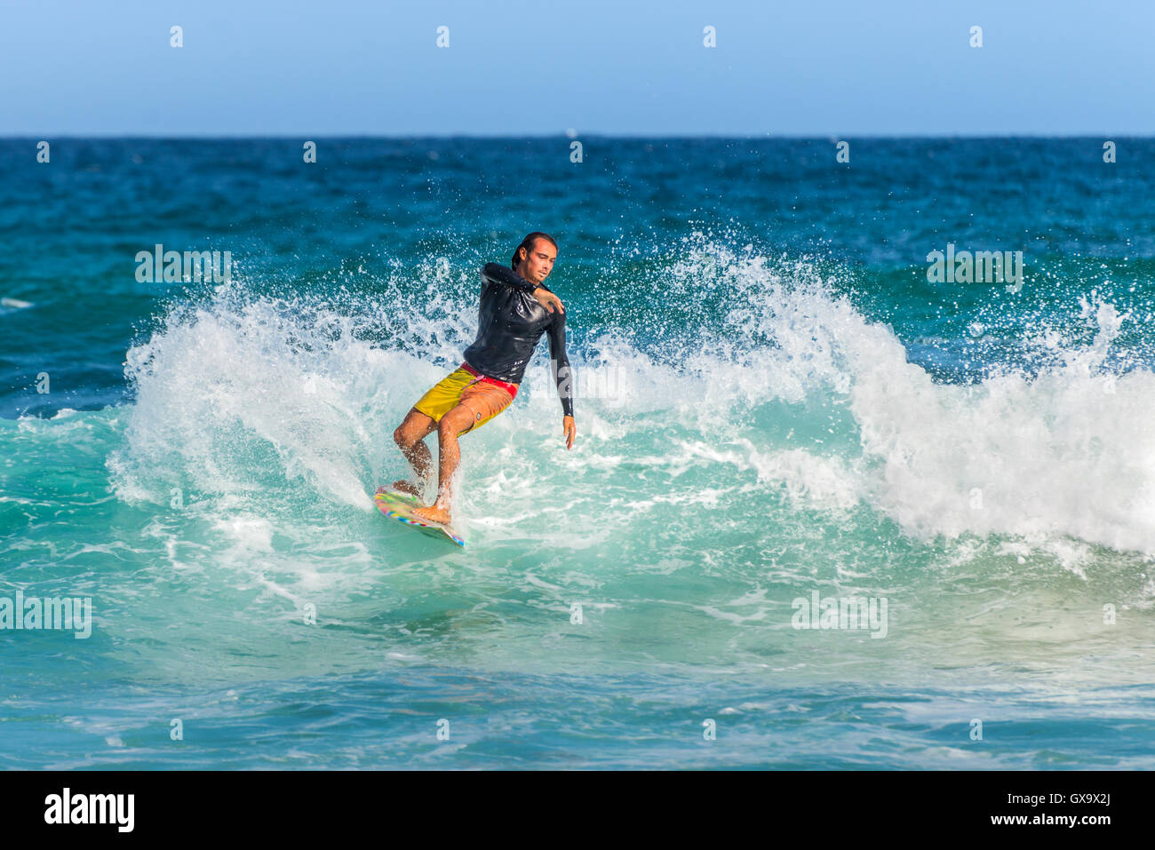 Un surfista australiano sull'onda, la spiaggia di Bondi nella periferia est di Sydney Foto Stock