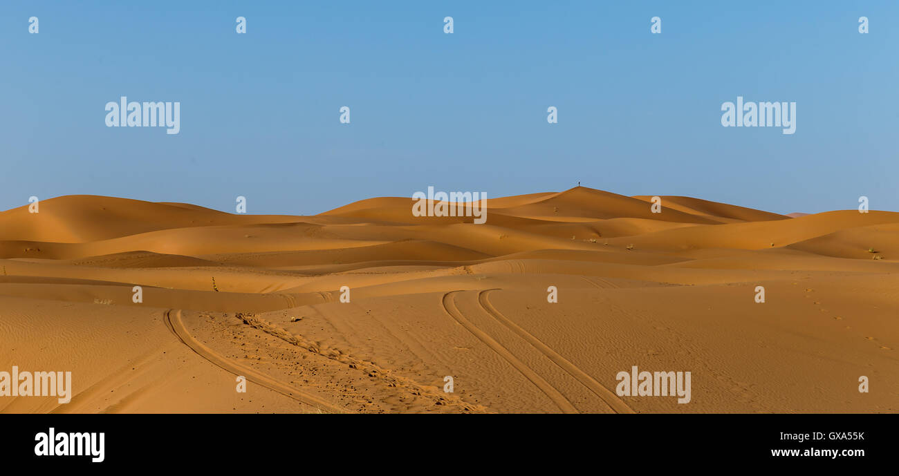 Deserto del Sahara Foto Stock
