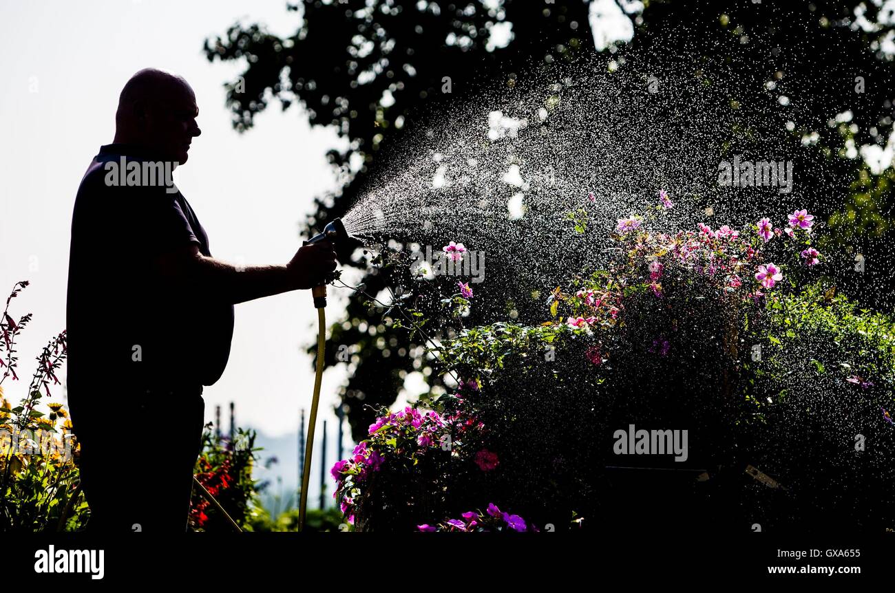 Ultimi preparativi sono realizzati in anticipo di Harrogate Autunno Flower Show al grande Yorkshire Showground. Foto Stock