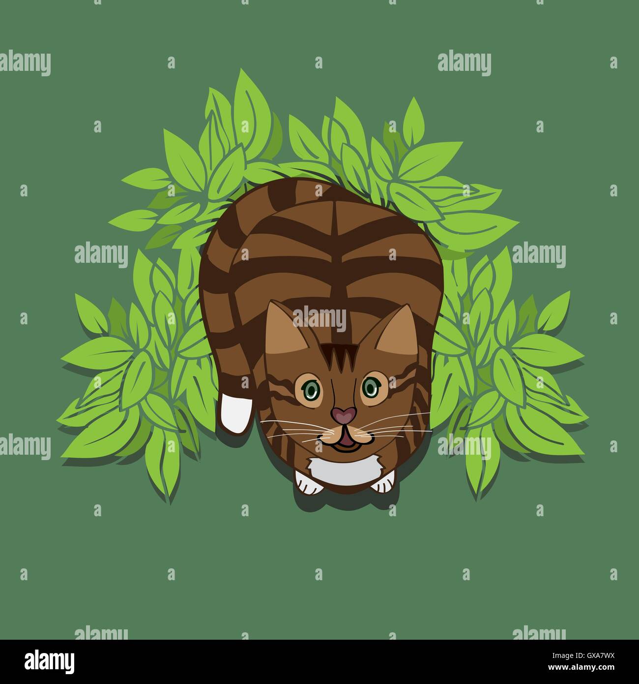 Bruno gatto in una macchia verde. Illustrazione Vettoriale per la stampa, t-shirt. Cute cat vista da sopra. Illustrazione Vettoriale