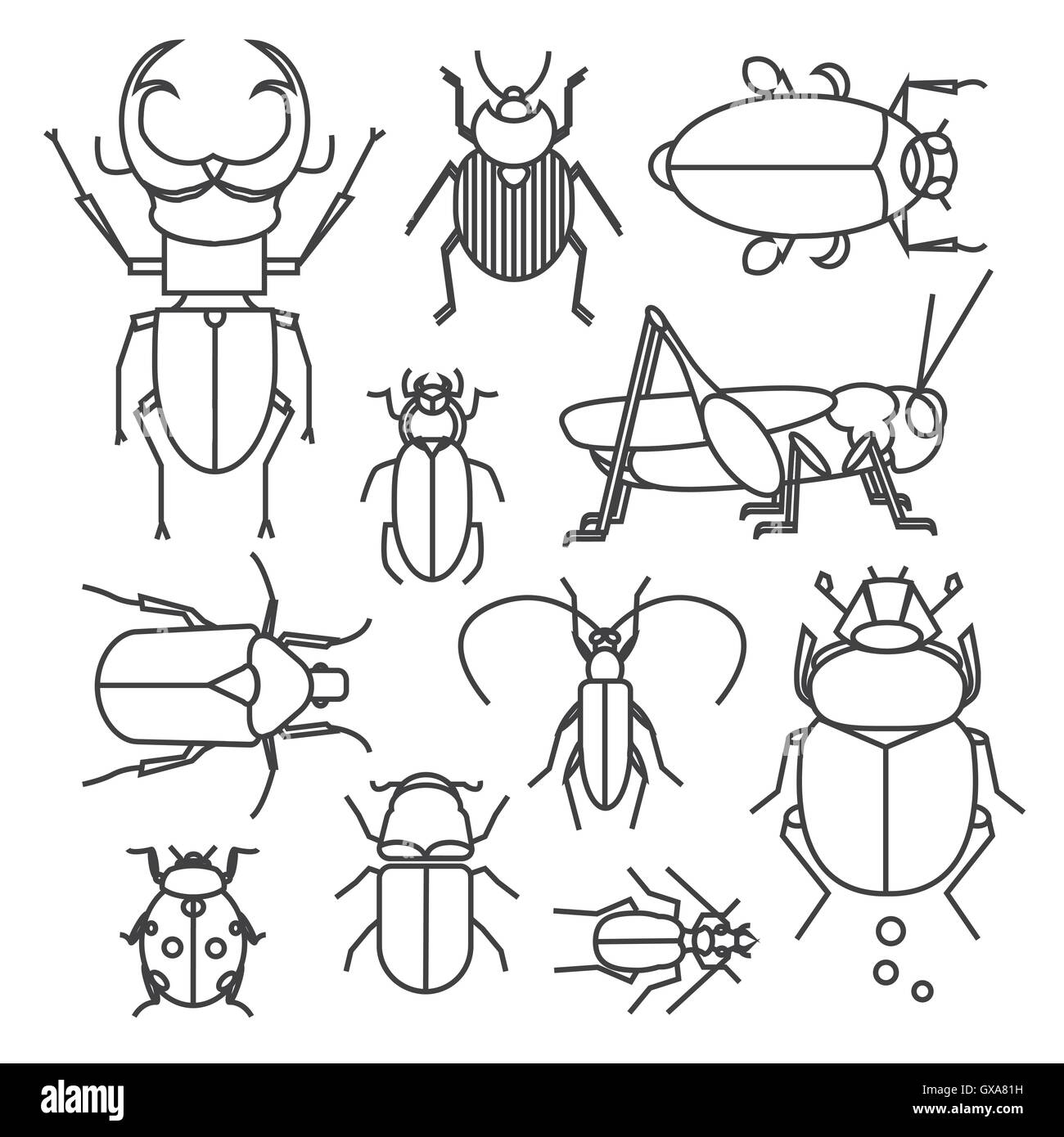 Vettore Collezione di diversi bug. Icona set di insetti in stile lineare. Illustrazione Vettoriale