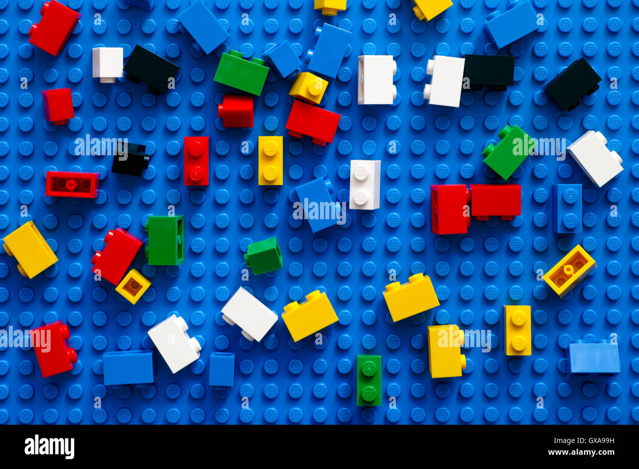 Tambov, Federazione Russa - Febbraio 20, 2015 multicolore di blocchi Lego sulla piastra di base blu sullo sfondo. Studio shot. Foto Stock