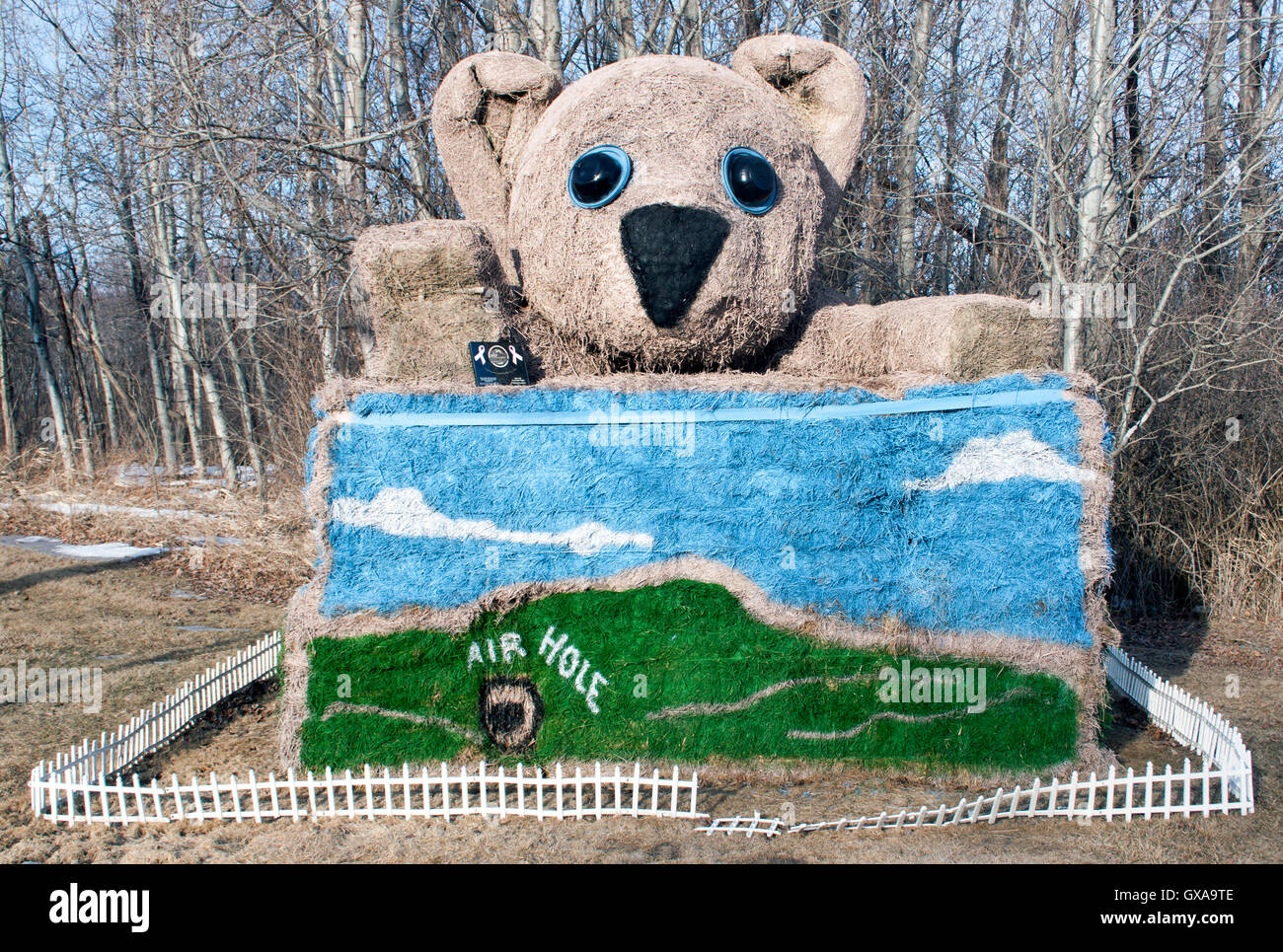 Gigantesco orso di peluche in Shelburne Vermont Foto Stock