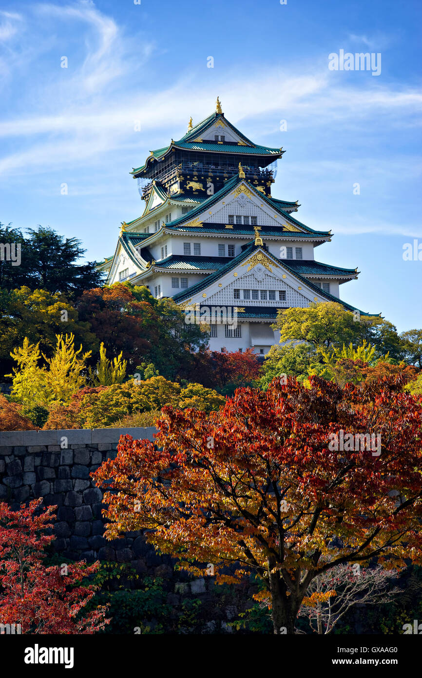 Giappone, isola di Honshu, Kansai di Osaka, il castello di Osaka. Foto Stock