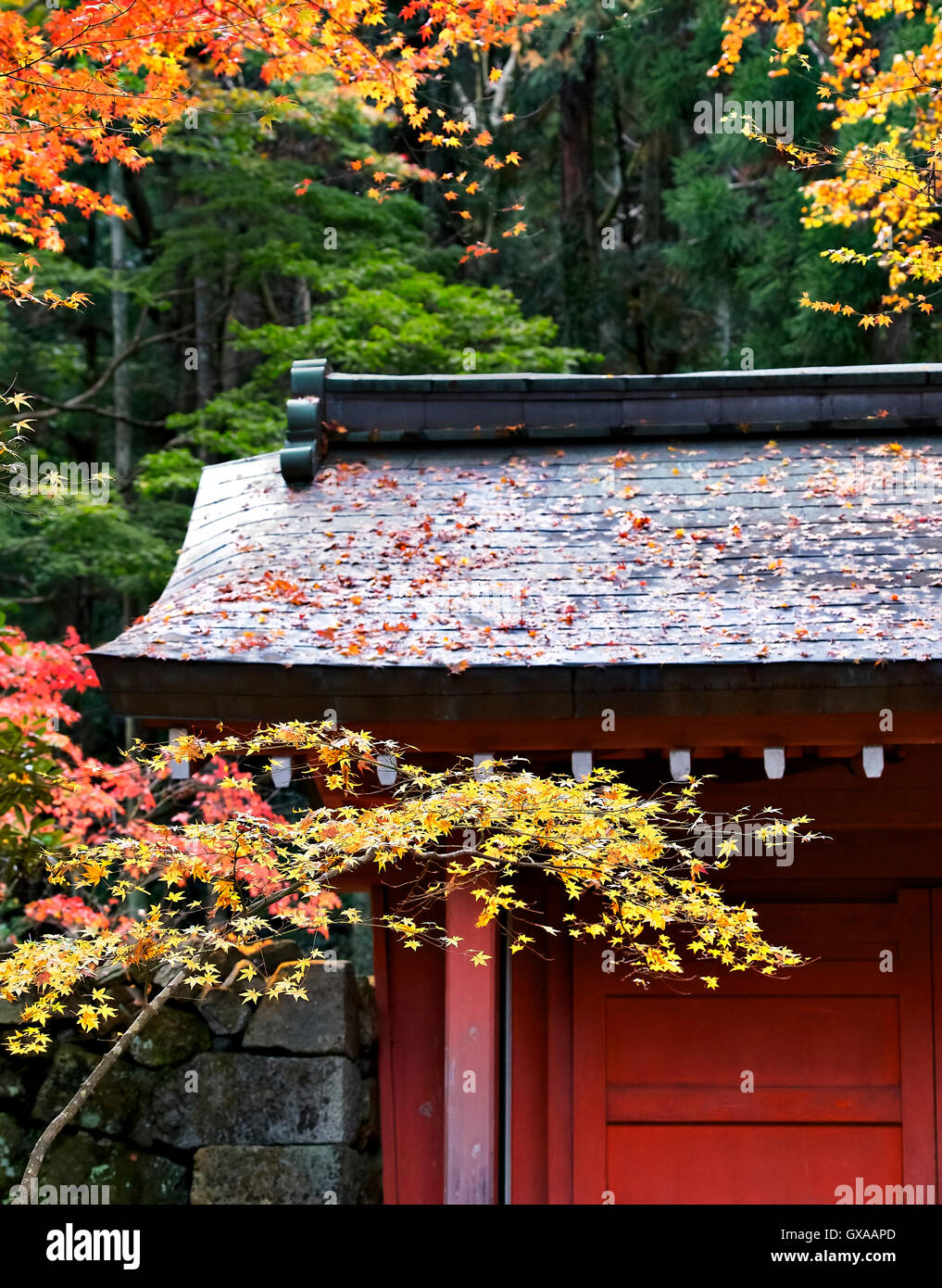 Giappone, isola di Honshu, Kansai, Ohara, Sanzen-nel tempio. Foto Stock