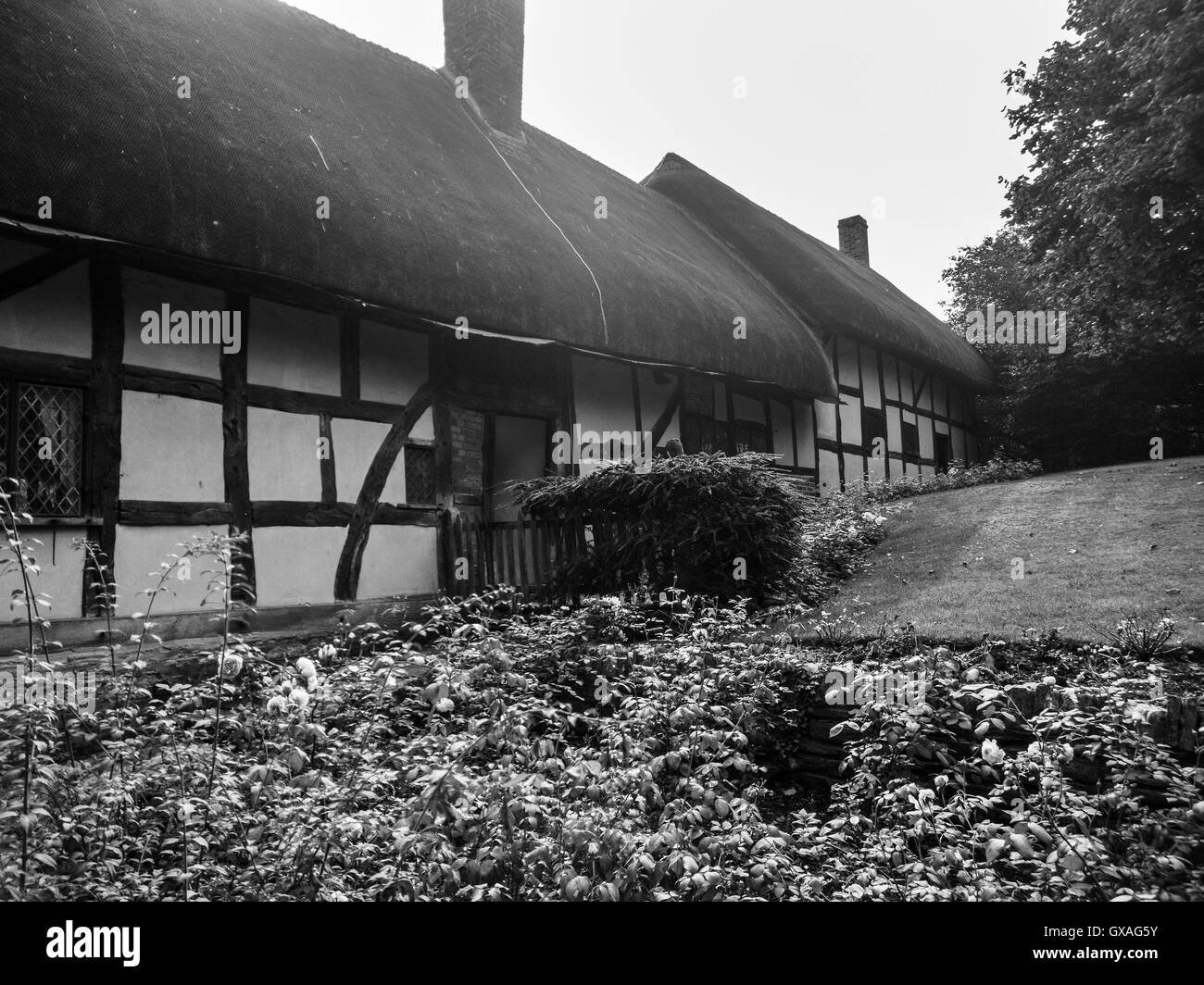 Ann hathaways cottage Foto Stock