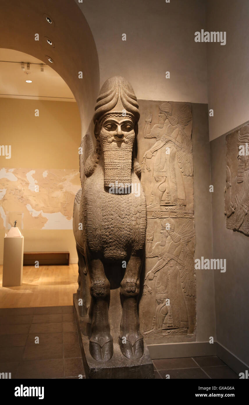Uomo con testa di leone alato (lamassu). 883-859 A.C. Neo-Assyrian. Regno di Ashurnasirpal. Nimrud (antica Kalhu). Mesopotamia. Foto Stock