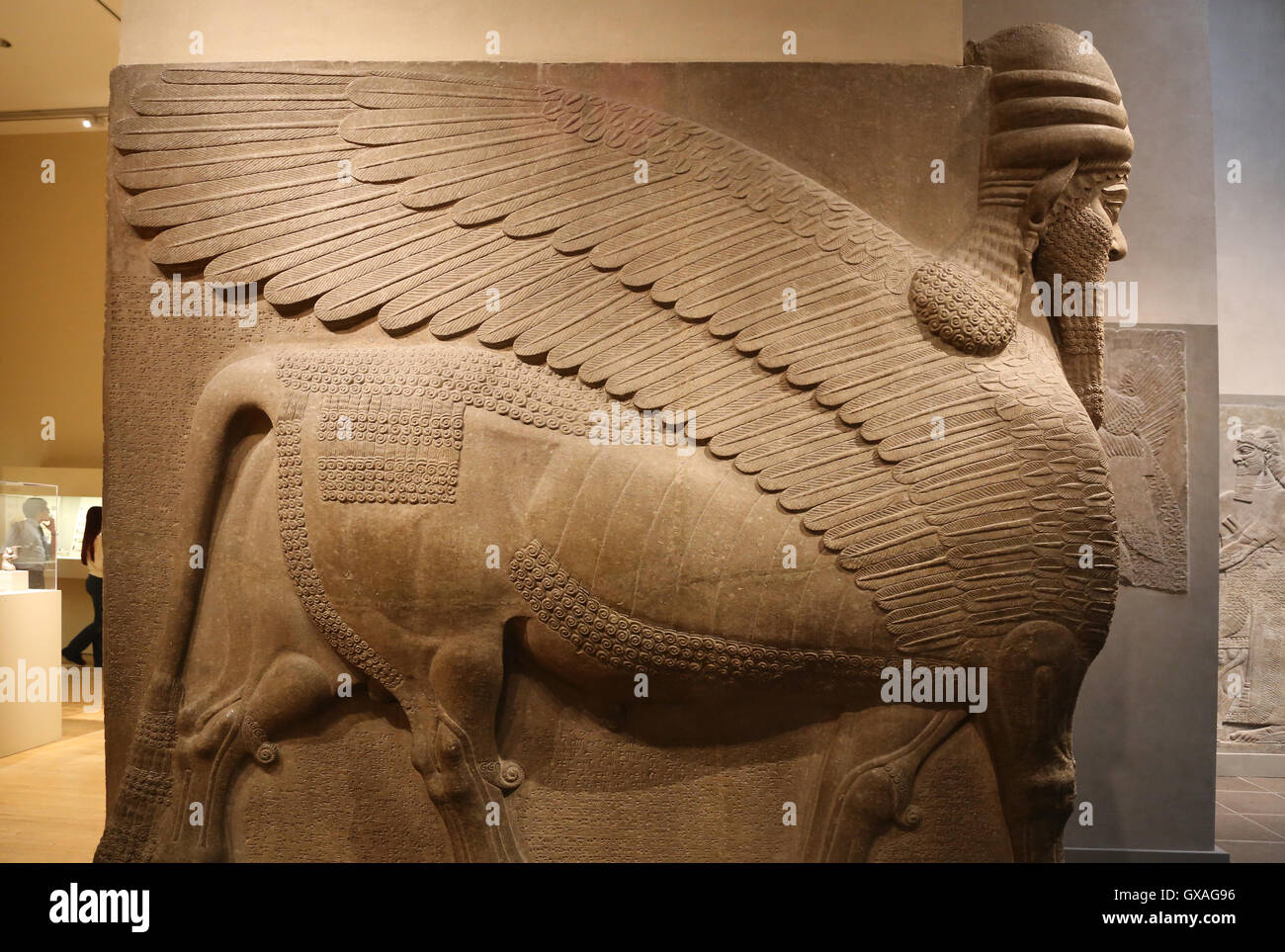 Uomo con testa di leone alato (lamassu). 883-859 A.C. Neo-Assyrian. Regno di Ashurnasirpal. Nimrud (antica Kalhu). Mesopotamia. Foto Stock