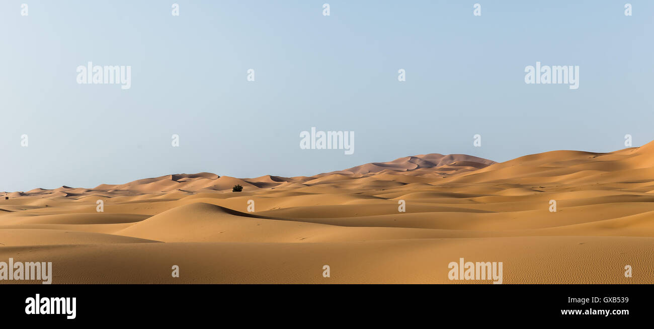 Deserto del Sahara Foto Stock