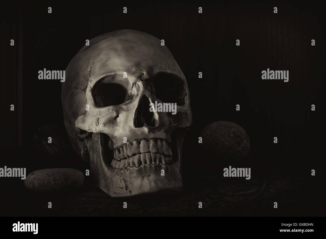 Still Life fotografia con teschio umano Foto Stock