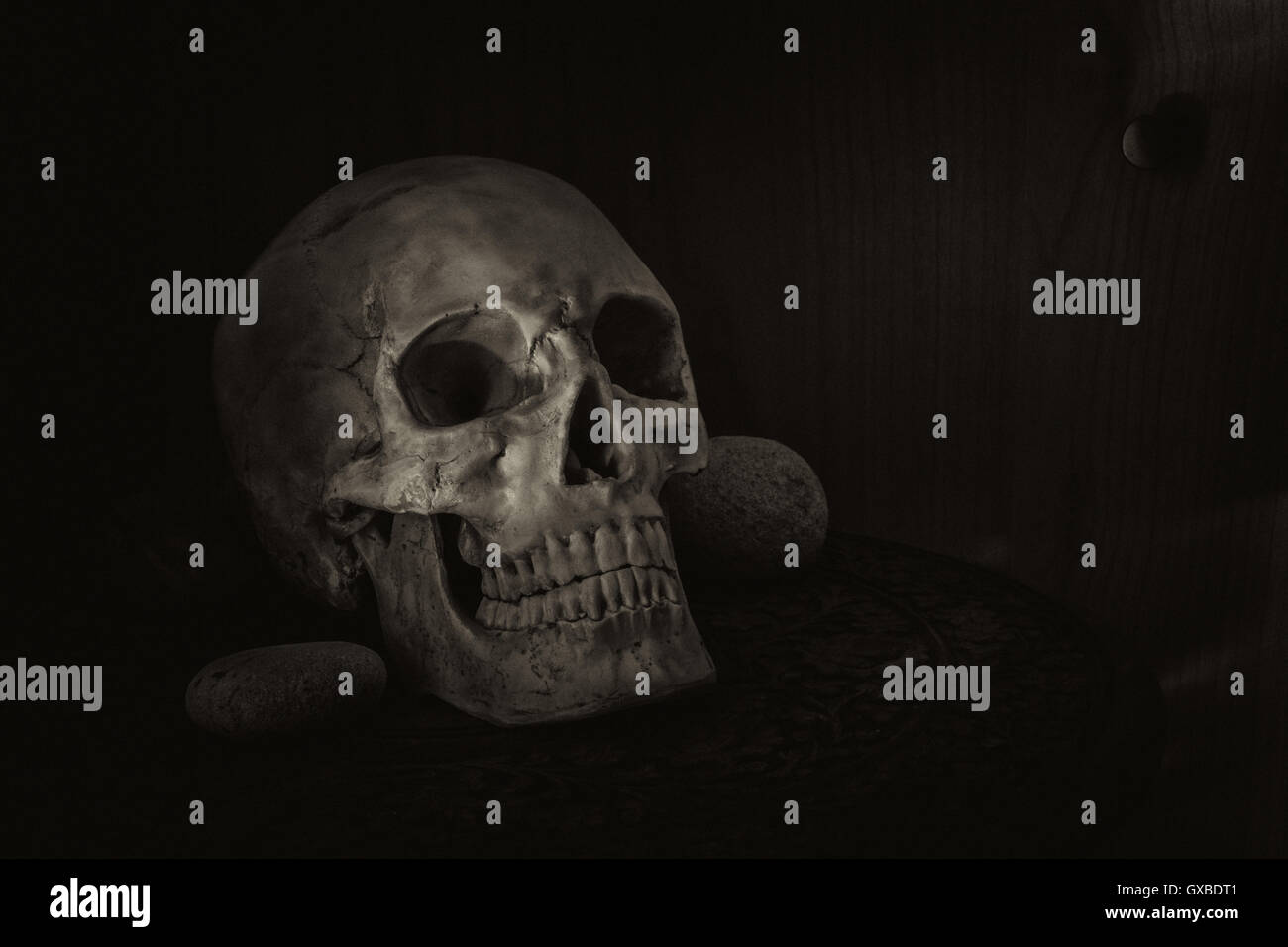 Still Life fotografia con teschio umano Foto Stock