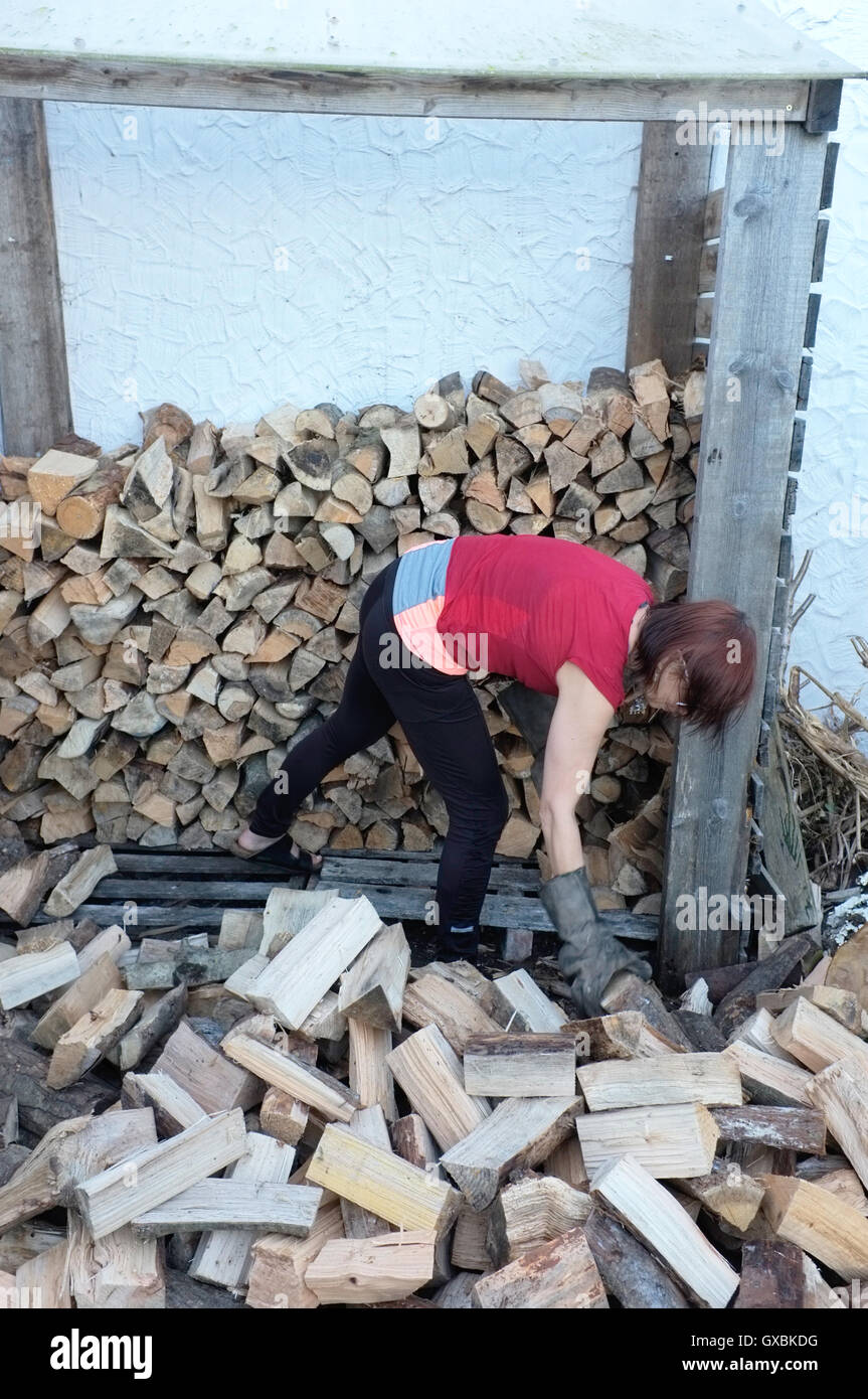 Una donna di pile di legno per il carburante invernale. Foto Stock